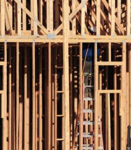 DC Residents Seek Transparency Regarding Possible Coordination Between Local Officials and Right-Wing Growth Agenda